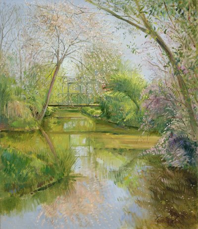 Vollblüte von Timothy Easton